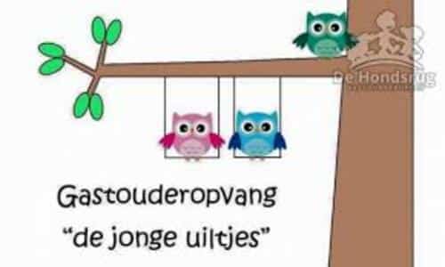 de jonge uiltjes Assen